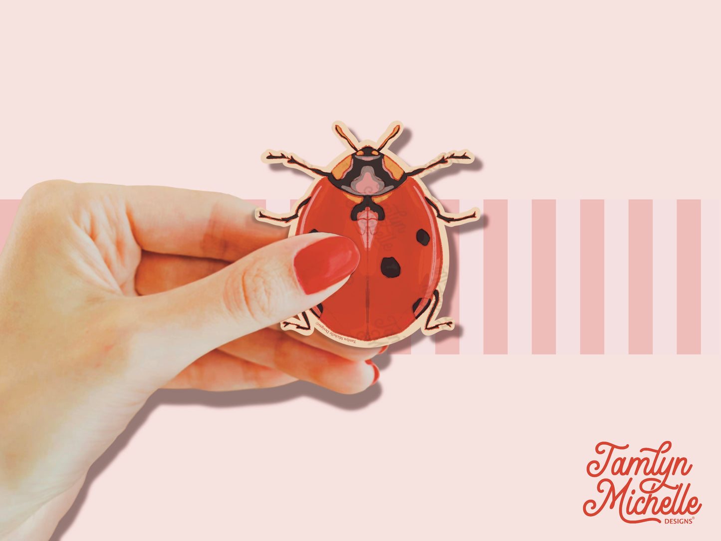 Ladybug (entomology) - Vinyl Sticker